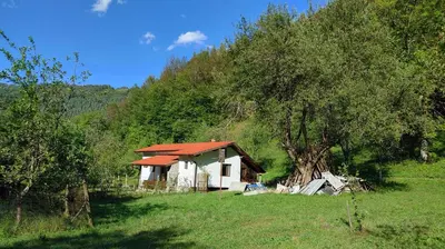 a small house in a field with a tree at Вила Идилия in Ribarica