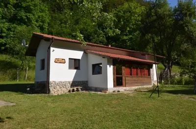 a small house in a field with trees in the background at Вила Идилия in Ribarica