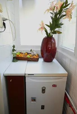 a vase with flowers on top of a refrigerator at Urban Oasis Studio in Sofia