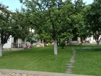 a tree in the middle of a green yard at By the River Hotel Complex in Balkanets