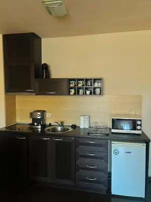 a kitchen with a sink and a microwave at View Apartment Bansko Royal Towers in Bansko