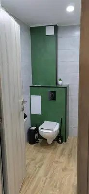 a bathroom with a toilet and a green wall at Apartmenthaus Oborishte - 24 in Panagyurishte