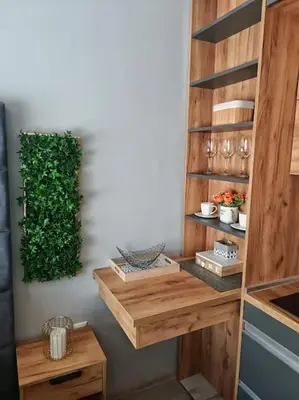 a room with wooden shelves and a green wall at Бутиково студио Utopia in Plovdiv