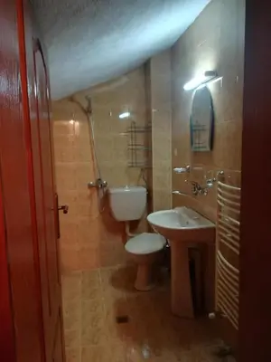 a bathroom with a toilet and a sink at Matsureva House - Pri Ivan in Bansko