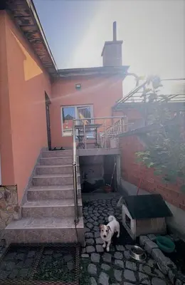 a dog standing in front of a house with stairs at Tainov House in Samokov