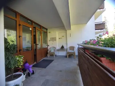 a hallway of a house with potted plants at Aпартамент Тити in Pamporovo