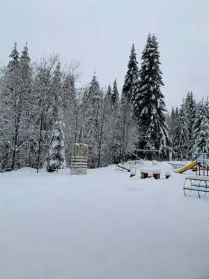a park covered in snow with benches and trees at PAMPOROVO Raikovski lodge in Pamporovo