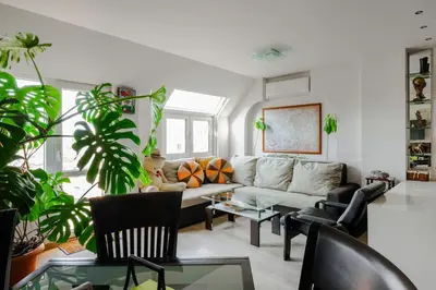 a living room with a couch and some plants at Spacious 2BD Flat with Secure Free Parking by Flat Mаnager in Sofia