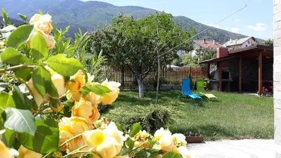 a house with a yard with a tree and a playground at Guest House Vessyta in Sapareva Banya