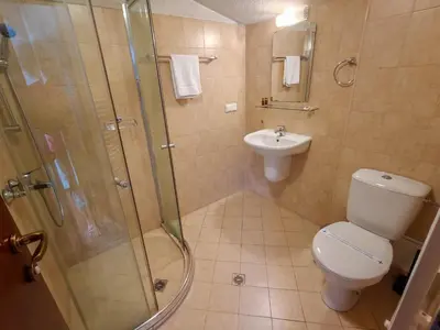 a bathroom with a shower and a toilet and a sink at Todeva House Hotel and Tavern in Bansko