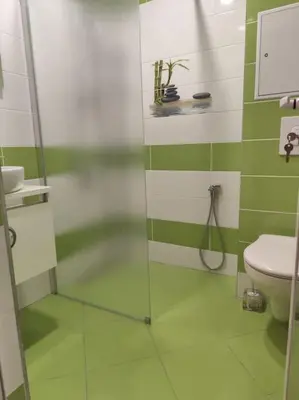 a green and white bathroom with a shower and a toilet at Only You Boutique Apartment in Sofia