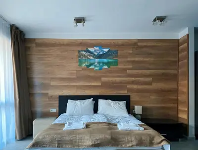 a bedroom with a large bed with a wooden wall at B7 Luxury Studio Apartment in Green Life Bansko in Bansko