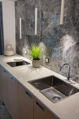 a kitchen with a sink and a potted plant at Luxury studio 12-4 in Plovdiv