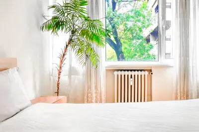 a bedroom with a bed and a palm tree in a window at 1BDR Quiet Str Vitoshka Area AC in Sofia