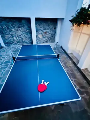 a ping pong table with a red apple on it at Large Cosy House by a Forest - Treehouse, BBQ, Fireplace & Mountain in Sopot