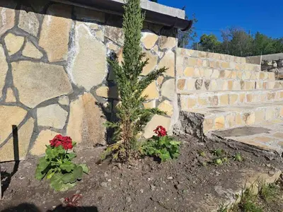 a plant in a garden next to a stone wall at Casa Lavandula in Sredno Gradishte