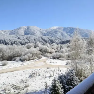 Pirin Heights Apartment 200m from SKI ROAD