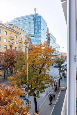 a tree with orange leaves on a city street at Spacious 3-BR Central Retreat in Sofia