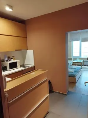 a kitchen with a microwave and a kitchen with a couch at The Cathedral in Sofia