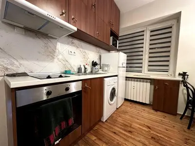 a kitchen with a stove and a sink and a dishwasher at Cultural Retreat in Sofia in Sofia