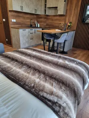a silver blanket laying on top of a bed in a room at Studio Todorka in Bansko