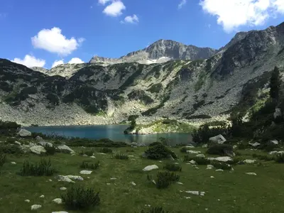 a mountain lake in the middle of a green field at Belvedere 1Bedroom Apartment with Kitchen in Bansko