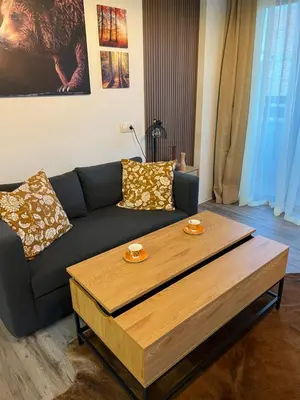 a living room with a couch and a coffee table at Luxury Studio1 in Hotel Friends in Bansko