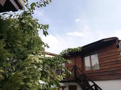 a log cabin with a porch and a tree at Студио в близост до църквата и центъра на града in Bansko
