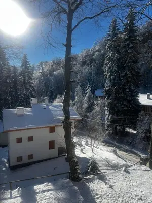 a white building in the snow with a tree at Фокс Хаус FOX HOUSE in Peshtera