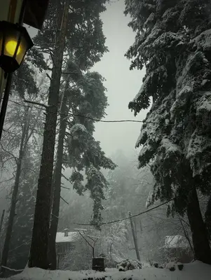 a snow covered street with trees and a street light at Фокс Хаус FOX HOUSE in Peshtera