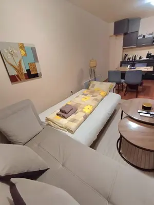 a living room with a bed and a table at Apartment Melania in Complex Royal Towers in Bansko