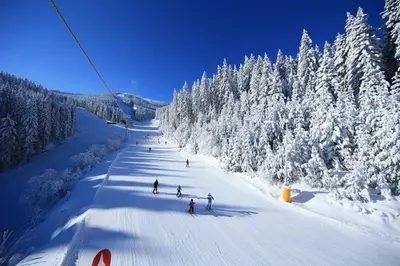 a group of people skiing down a snow covered slope at Host2U Penthouse Sauna, Jacuzzi, Fireplace in Bansko