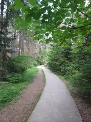 a path in the middle of a forest at Bella Si Relax in Bansko