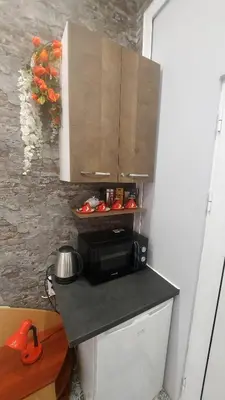 a kitchen with a counter top with a microwave at Apartment Hangar 94 - Top Center - plus Free Vouchers in Sofia