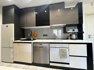 a kitchen with stainless steel appliances and black cabinets at The Mirror Apartment in Sofia
