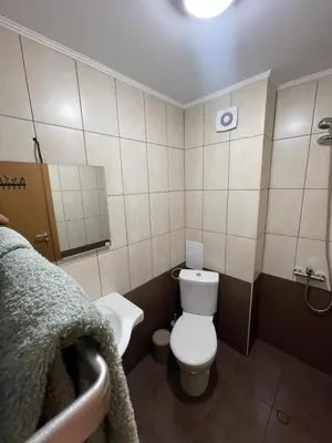 a small bathroom with a toilet and a sink at Studio Béni in Smolyan