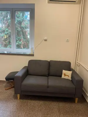 a gray couch in a room with a window at Glasgow 2BDR peaceful Apt 1 min from Metro w WiFi in Sofia