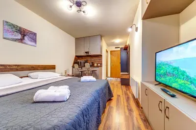 a bedroom with two beds and a flat screen tv at Cozy Studio in Grand Resort Pamporovo by Flat Manаger in Pamporovo