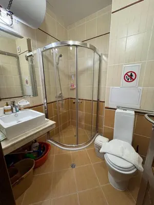 a bathroom with a shower and a toilet and a sink at Mimsi Apartment in Pamporovo