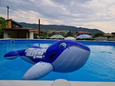 a blue dolphin toy in a swimming pool at Villa Popovi in Simitli