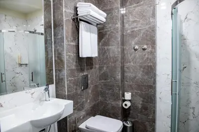a bathroom with a toilet and a sink and a shower at BG Hotel in Sofia