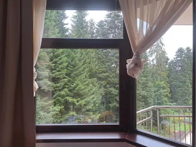 a window in a room with a view of the forest at FLORA Apartment Hotel STUDIO 411 in Borovets