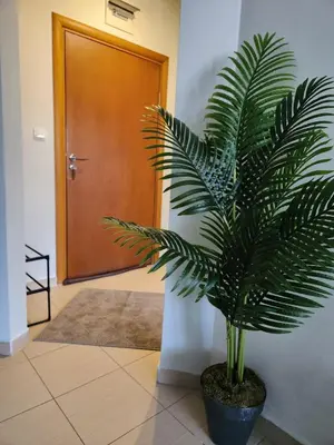 a palm tree in a pot in front of a door at Elegant Apartment Ski Access Premium Spa in Bansko
