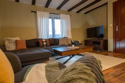 a living room with a couch and a tv at Гусу Баба in Kostenets Village