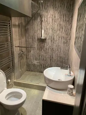 a bathroom with a toilet and a sink and a shower at Elegant 3 Alexander Services Apartments luxury four bedroom penthouse in Bansko
