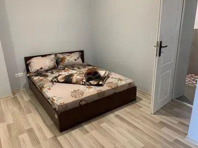 a dog laying on a bed in a room at Southern Hill in Sofia