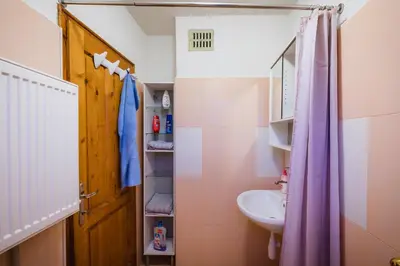 a bathroom with a sink and a toilet and a shower at Cozy Luxurious Apartment Next to Borovets and Rila mountain in Govedartsi