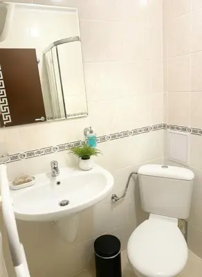 a bathroom with a sink and a toilet and a mirror at Raya Apart Pamporovo in Pamporovo