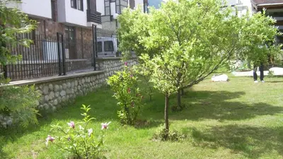 a tree in a yard next to a building at Ski Lift Apartment - FORTUNA in Bansko