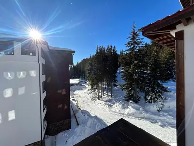 a view of a snow covered yard with the sun shining at Bambi in Pamporovo